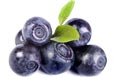 Blueberries